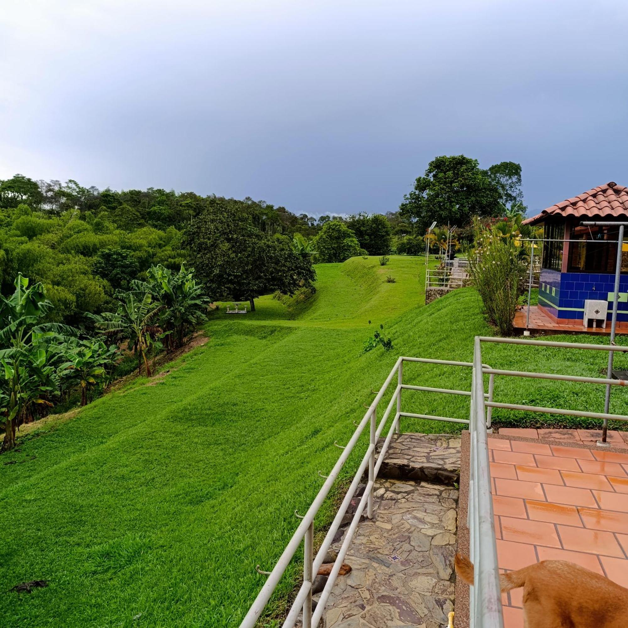 Hotel Campestre Los Mangos 金巴亚 外观 照片