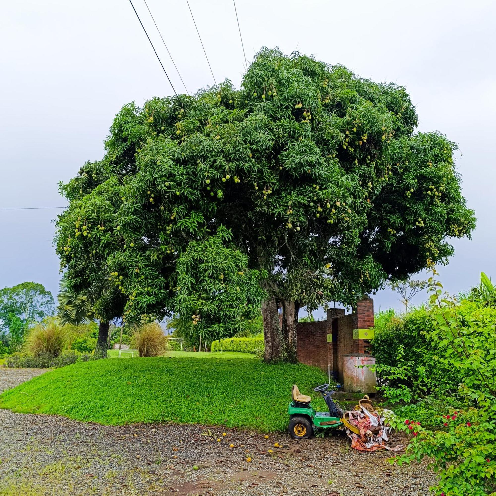 Hotel Campestre Los Mangos 金巴亚 外观 照片