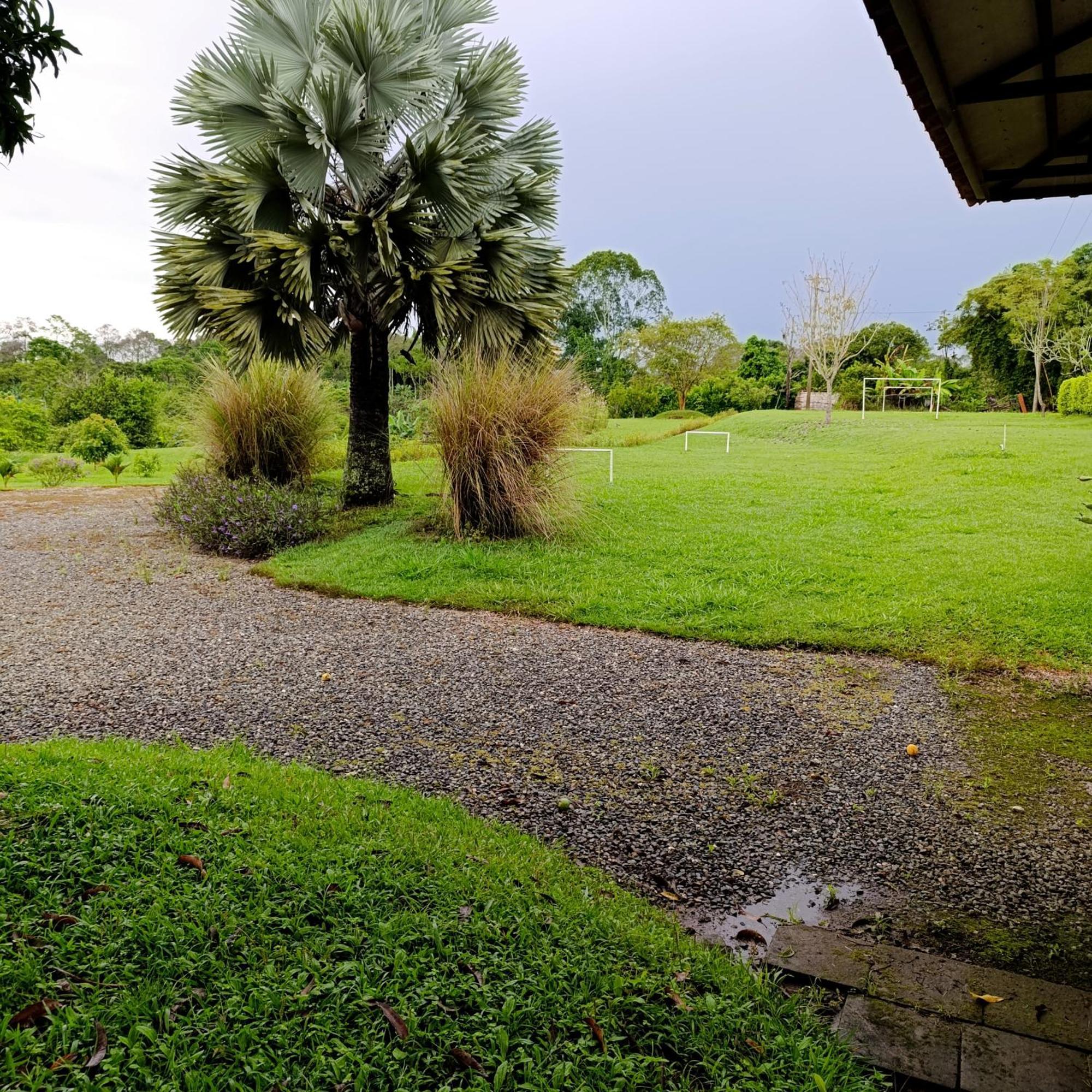 Hotel Campestre Los Mangos 金巴亚 外观 照片