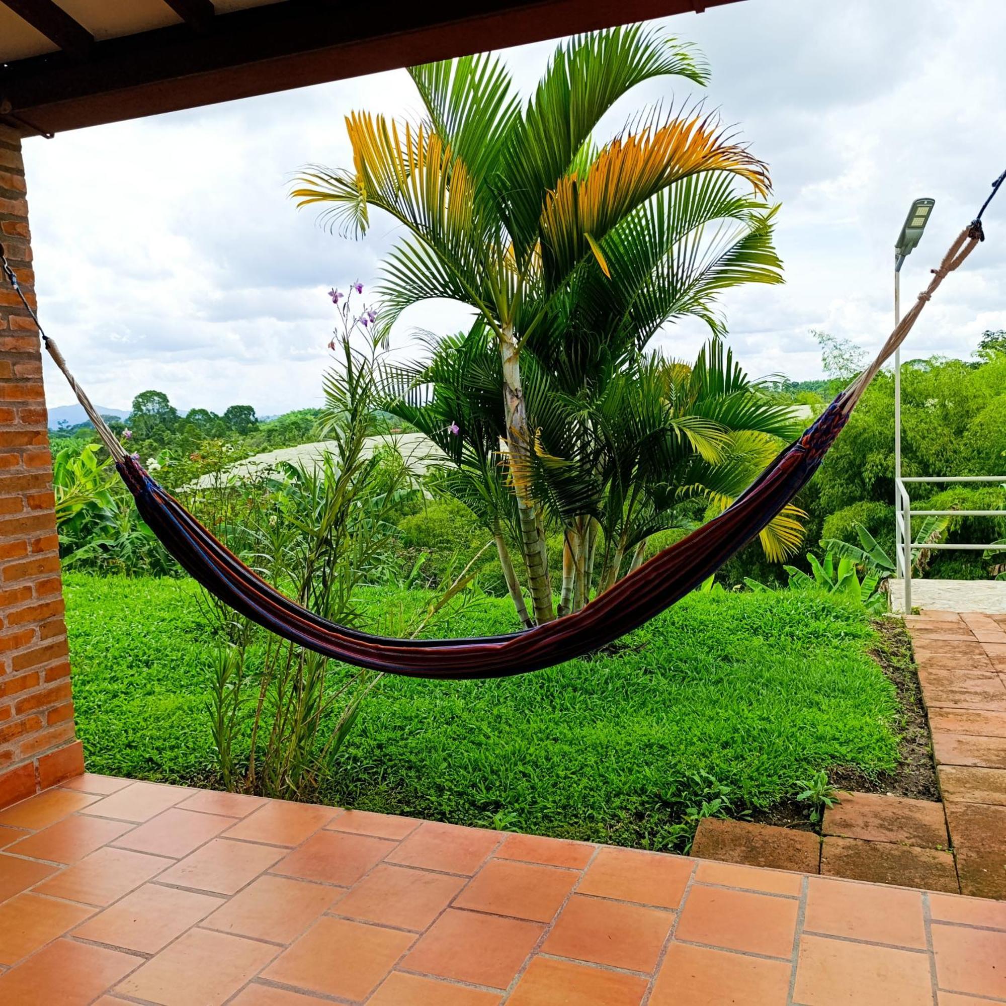 Hotel Campestre Los Mangos 金巴亚 外观 照片
