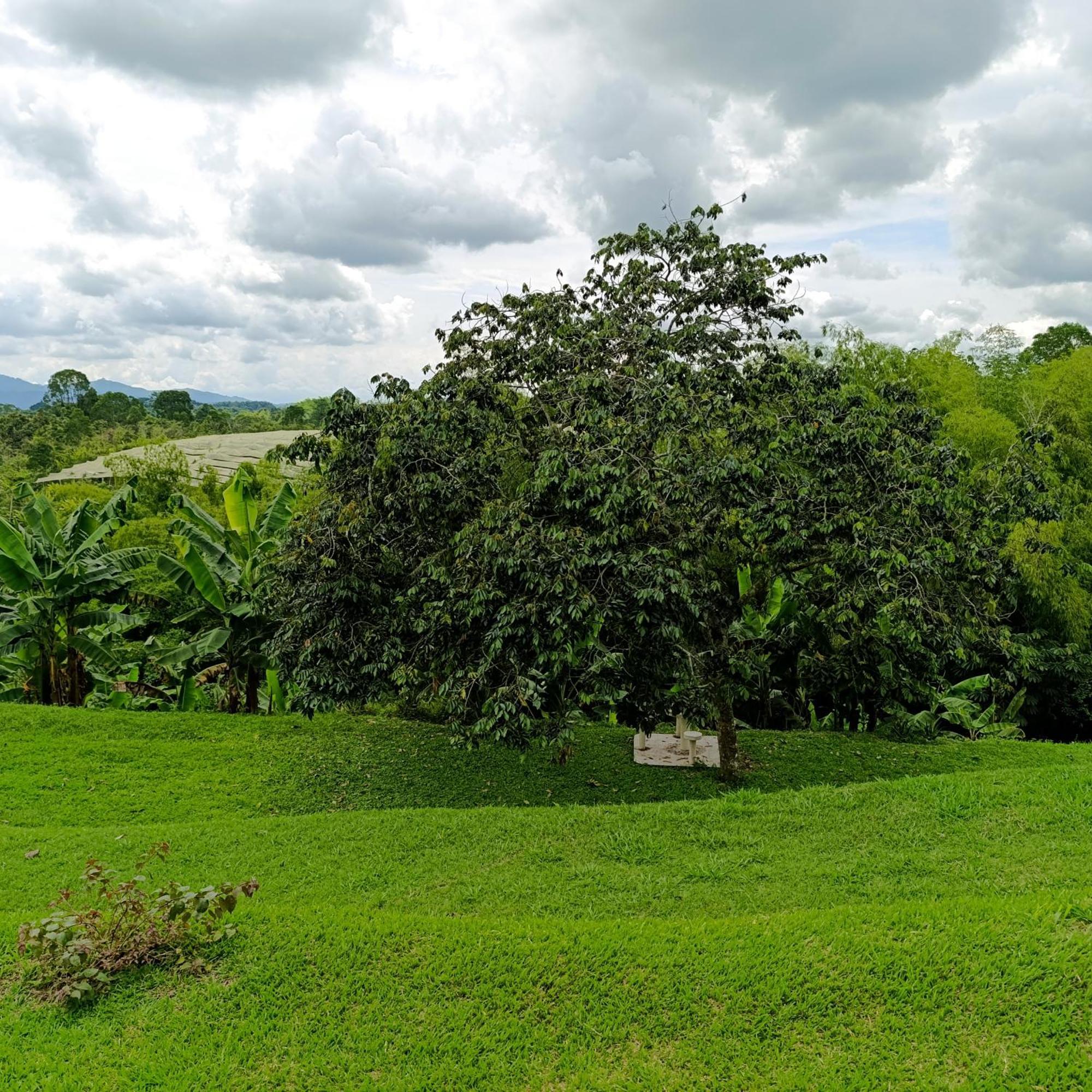 Hotel Campestre Los Mangos 金巴亚 外观 照片