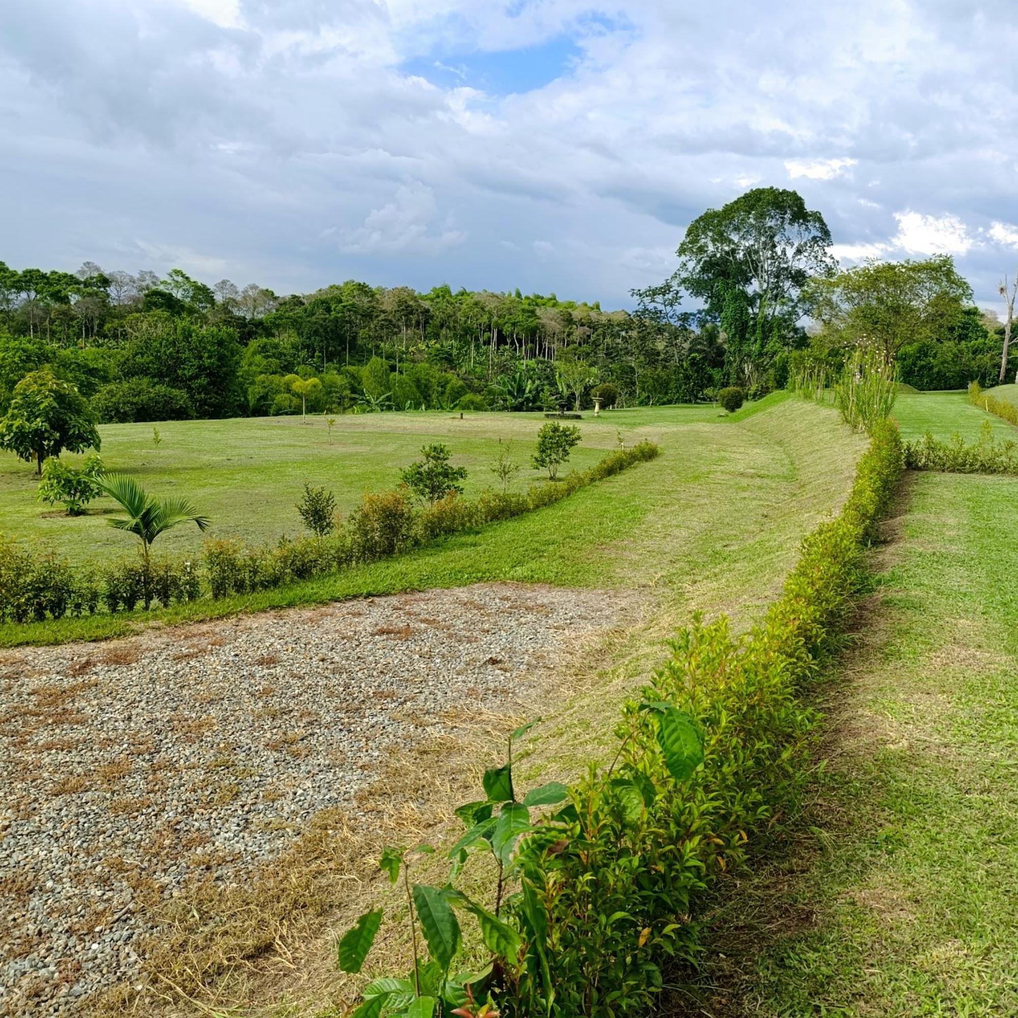 Hotel Campestre Los Mangos 金巴亚 外观 照片